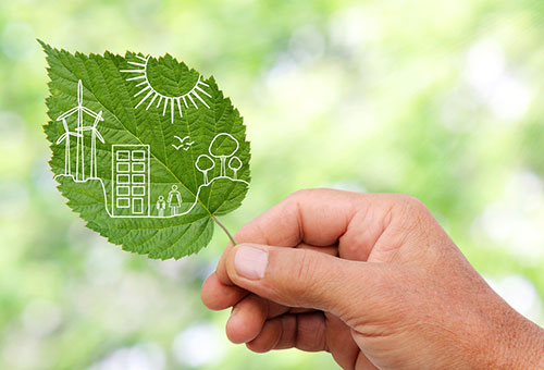 Your Role in a Green Environment