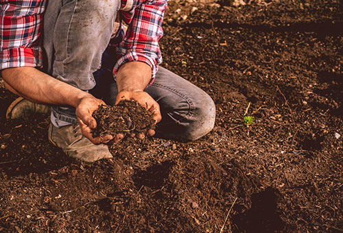 Soil Management-Part 2