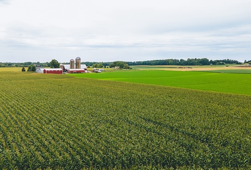 Crop Science