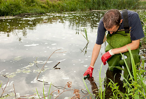 Fish Mgmt-Ichthyology,Limnology/Field Pract