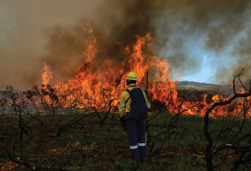 S390 Fire Behavior