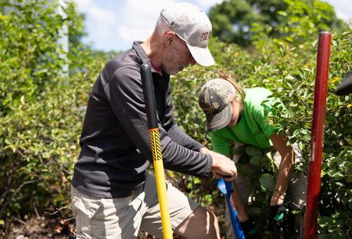 Introduction to Arboriculture