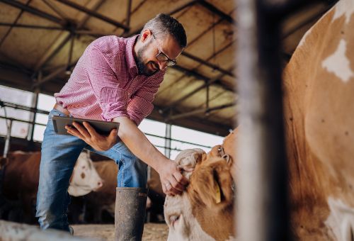 Livestock Essentials