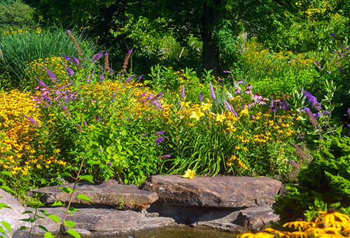 Spring Landscape Maintenance